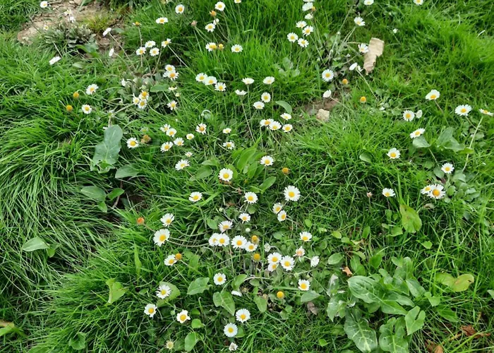 Pensión Guesthouse Ndroq