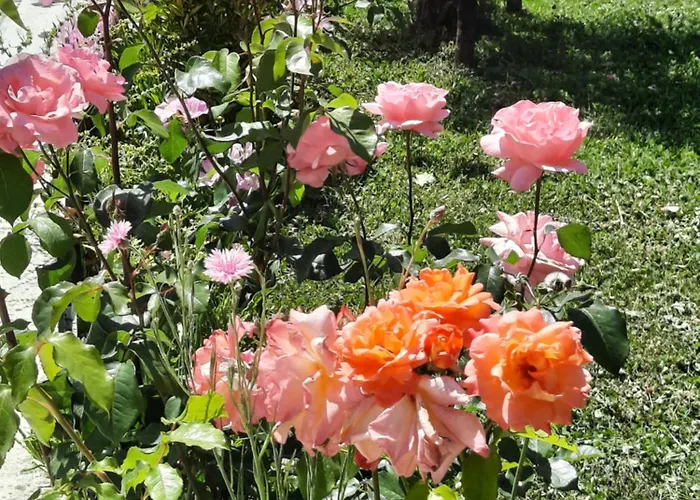 Guesthouse Ndroq Ndroq