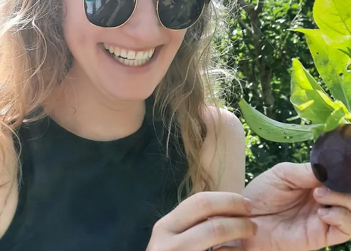 Guesthouse Ndroq Pensión