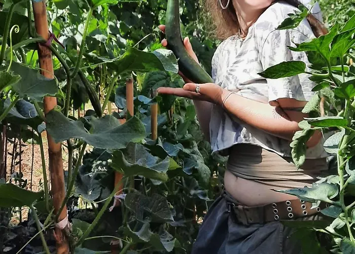 Pensión Guesthouse Ndroq