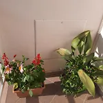 Guesthouse Ndroq 招待所 *