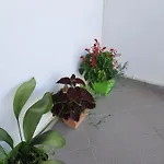 Guesthouse Ndroq Ndroq