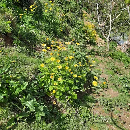 Guesthouse Aliu Ndroq