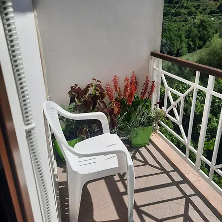 Guesthouse Aliu Ndroq *