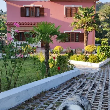 Guesthouse Aliu Ndroq Pensión *
