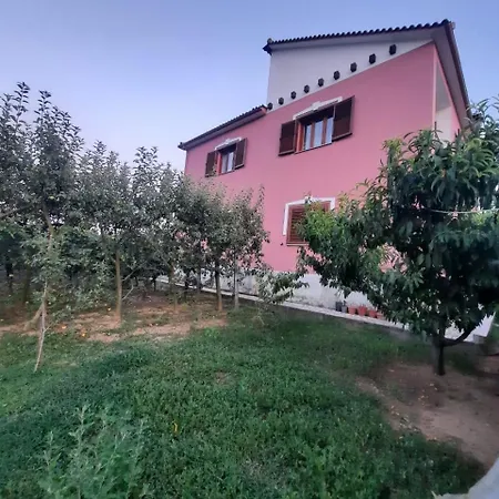 Guesthouse Aliu Ndroq Pensión *