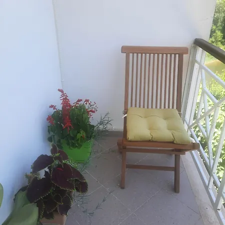 Pensión Guesthouse Aliu Ndroq