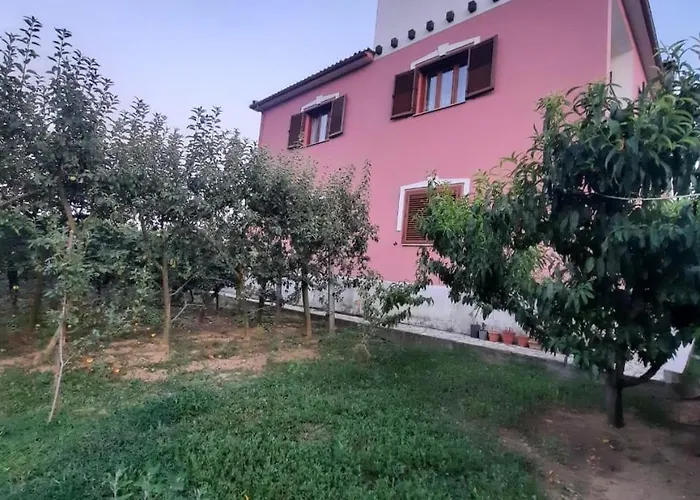 Guesthouse Ndroq 招待所 *